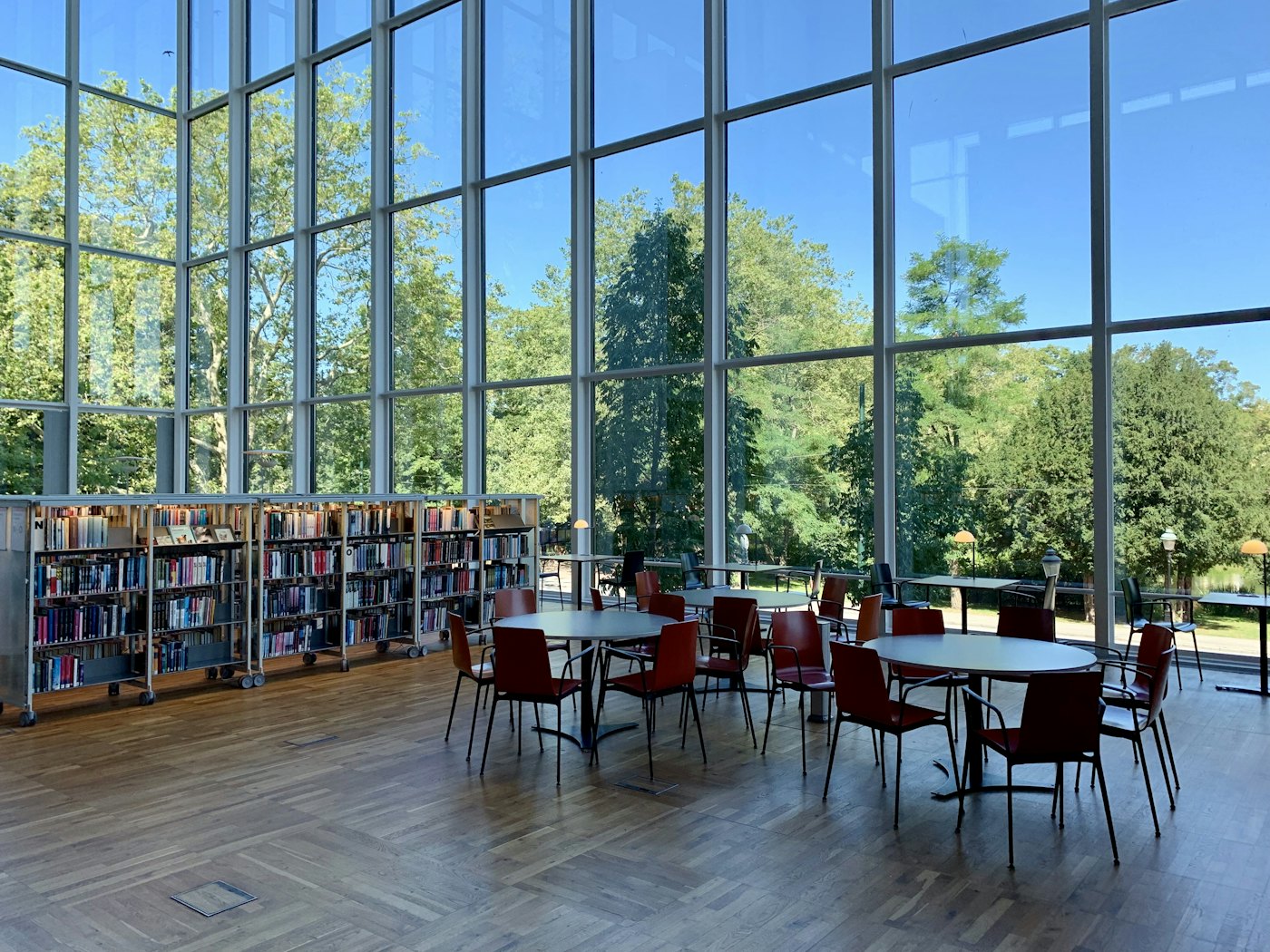 Pavika - Educational Hub campus photo 3